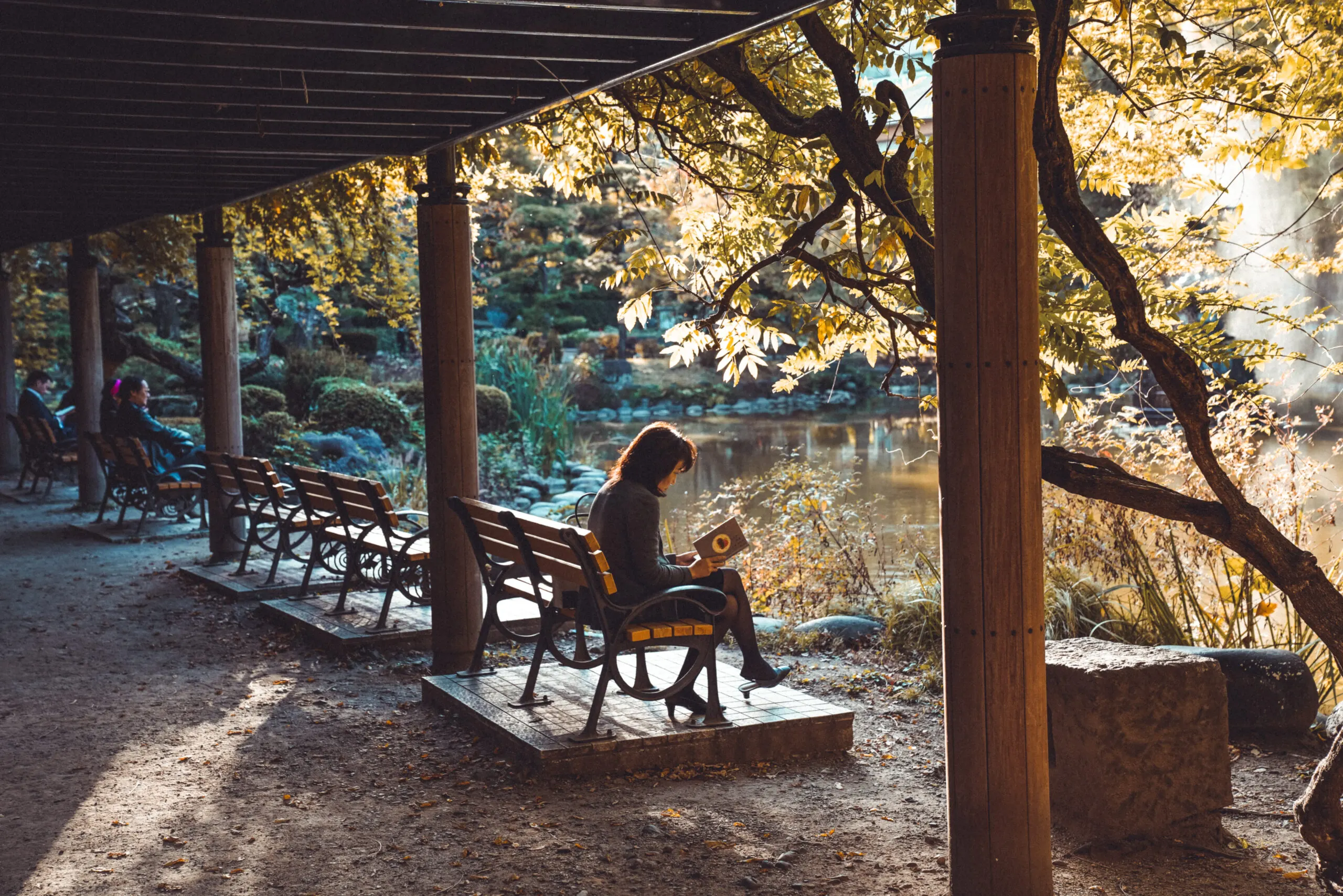 Person resting under a wooden pavilion in an autumn park